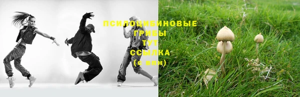 прущая мука Белоозёрский