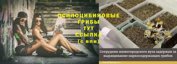 герыч Белокуриха