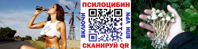 hydra рабочий сайт Ахтырский Галлюциногенные грибы Psilocybine cubensis